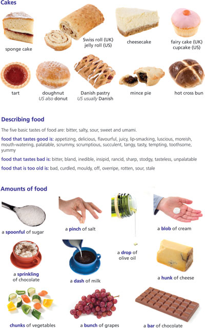 Food page from Cambridge Advanced Learner's Dictionary 3rd edition